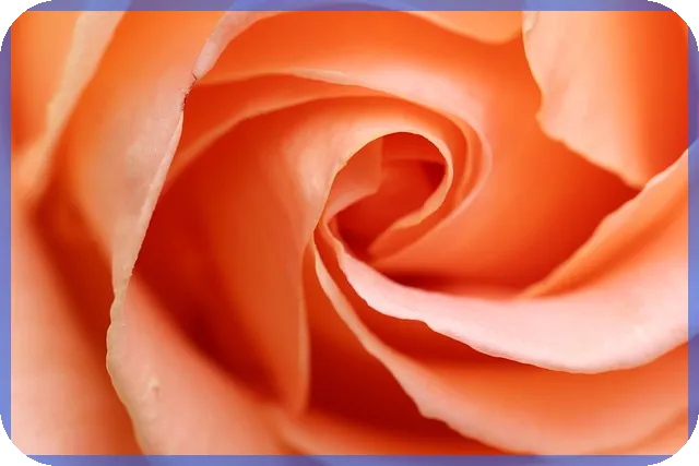 손없는날달력으로 중요한 일정 잡기 성공법