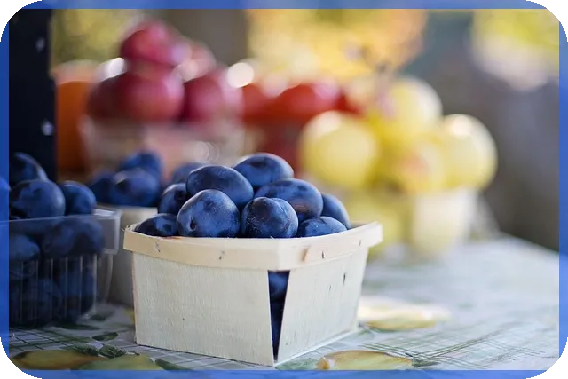 신세계주가 전망과 투자 전략 분석