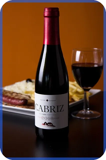 신차카드캐시백 최고 검색처와 혜택 비교