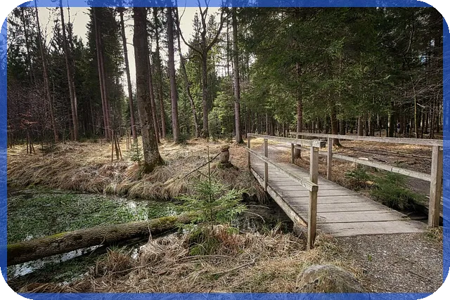 신차카드캐시백 최고 검색처와 혜택 비교