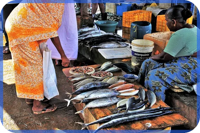 신차카드캐시백 최고 검색처와 혜택 비교