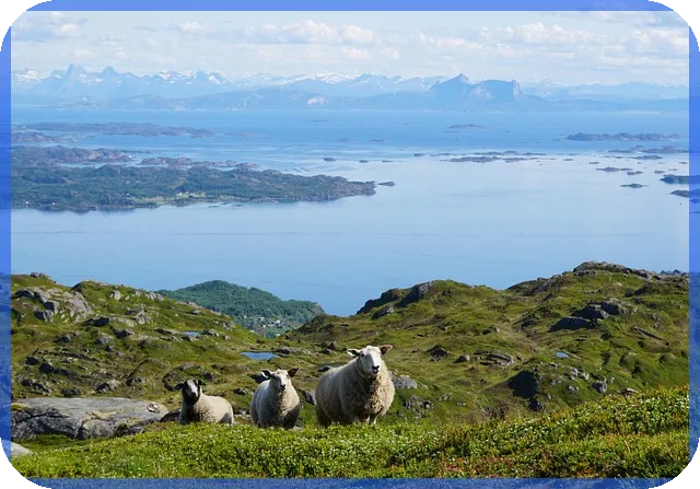 쌍용차주가 상승 임영웅 바이럴 성공 전략 분석