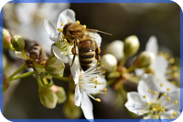 알바이력서양식다운로드로 쉽게 면접 준비하기