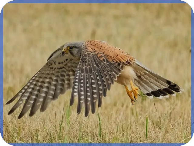 알바이력서양식다운로드로 쉽게 면접 준비하기