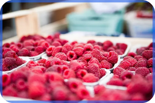 약국경매로 투자 수익 극대화하는 법