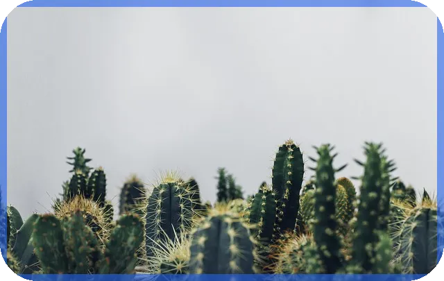 에코프로주가 전망은 미래가 밝을까 관심 집중