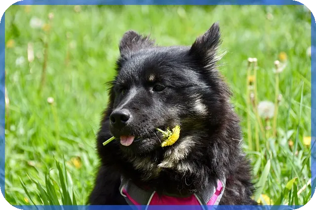 여성사업자대출 정부지원으로 저금리 자금 마련하는 법