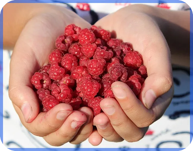 여성사업자대출 정부지원으로 저금리 자금 마련하는 법