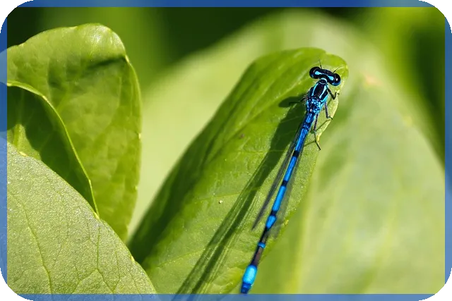 수원 영화볼수있는곳 추천 프라이빗 영화관 피키노