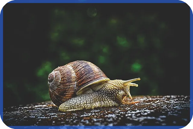 오피스텔대환대출 선택 가이드 규제와 금리 전략