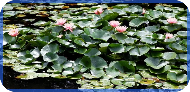 전세대출거절 계약금 돌려받기 방법과 절차를 알아보자