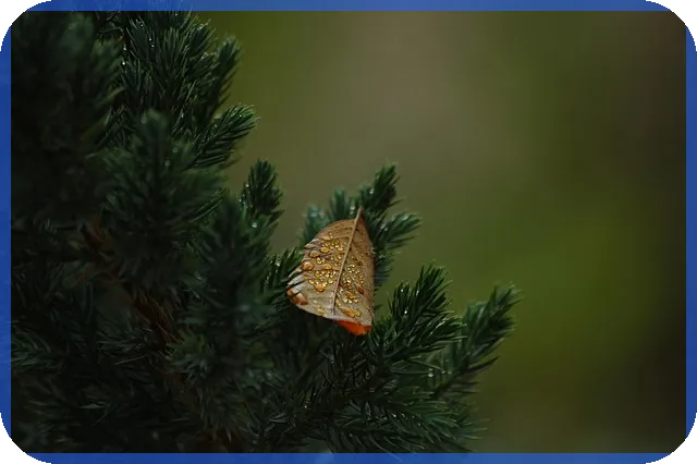 삼성전자 주가분석으로 전망 잡기 혹시 지금 매수 적기일까
