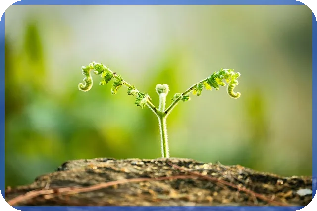 삼성전자 주가분석으로 전망 잡기 혹시 지금 매수 적기일까