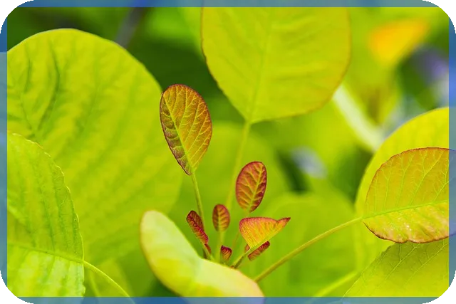 삼성전자 주가분석으로 전망 잡기 혹시 지금 매수 적기일까