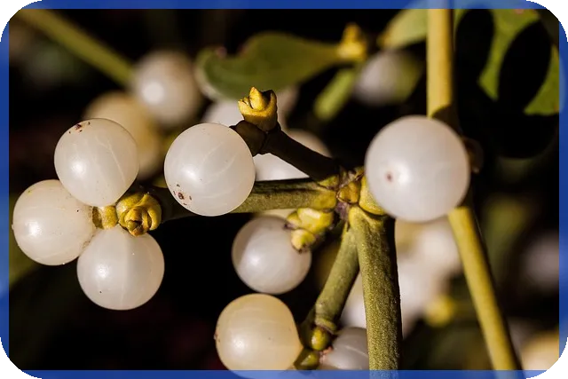 주택담보대출다자녀 혜택과 6.27 부동산대책 영향 분석