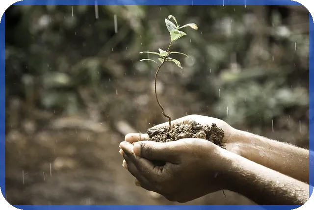 카카오게임즈주가 급등 이유와 앞으로 전망