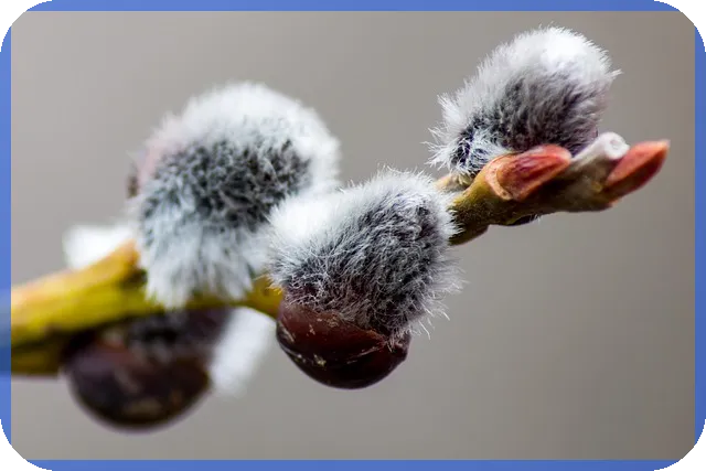 카카오게임즈주가 급등 이유와 앞으로 전망