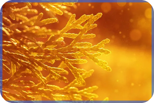 100만원투자 전략으로 재테크 성공하는 법