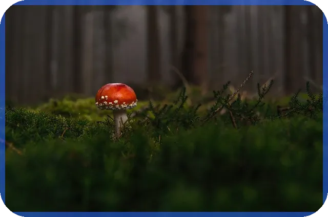 100만원투자 전략으로 재테크 성공하는 법