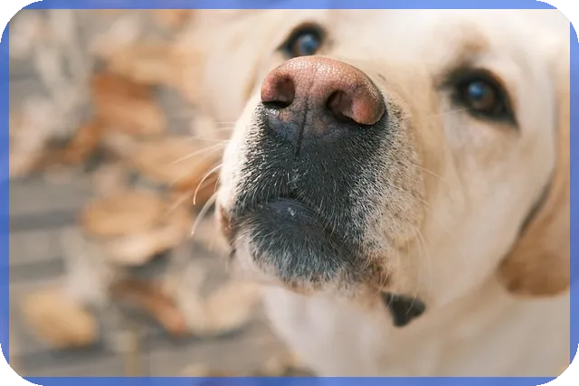 50대보험 여성암보험 추천 핵심 전략