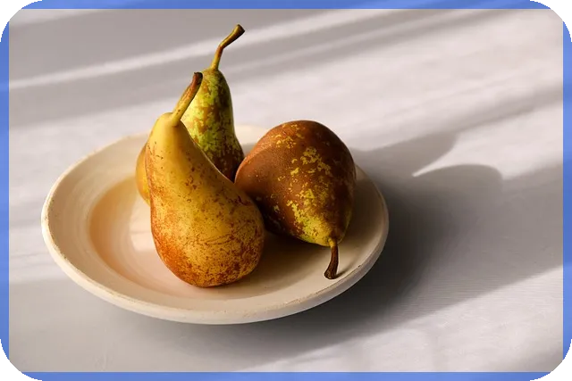 50대보험 여성암보험 추천 핵심 전략