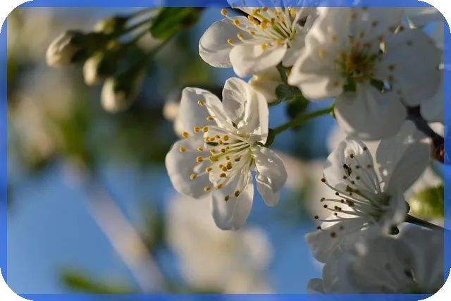 50대보험 여성암보험 추천 핵심 전략
