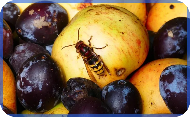 가구플랫폼으로 만나는 1인 가구 맞춤 서비스 전격 분석