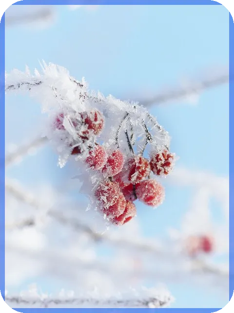 경주대출 개인돈으로 창업 성공하는 방법은 무엇인가
