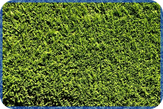 경주대출 개인돈으로 창업 성공하는 방법은 무엇인가