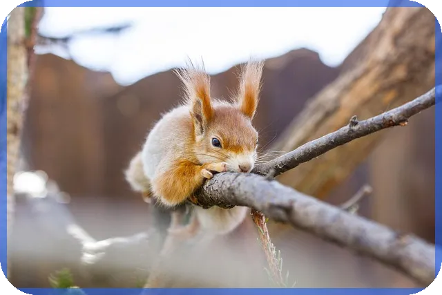 무료리딩방 사기 피해 예방과 대응 전략