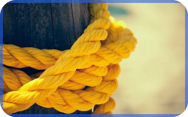 무료영화다운로드 안전하게 하는 법 당신이 몰랐던 정보