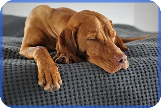 무료영화다운로드 안전하게 하는 법 당신이 몰랐던 정보