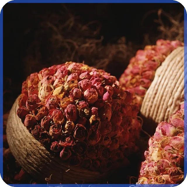 보험플래너 취업 성공 수당 실수와 주의점