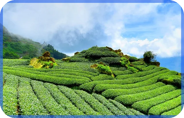 보험플래너 취업 성공 수당 실수와 주의점