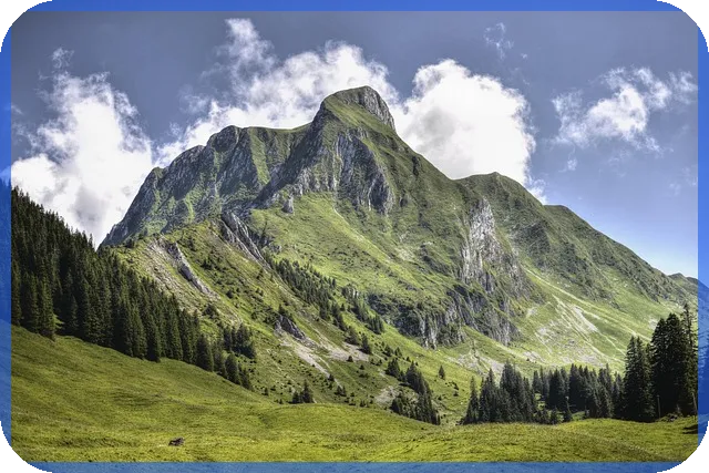 보험플래너 취업 성공 수당 실수와 주의점