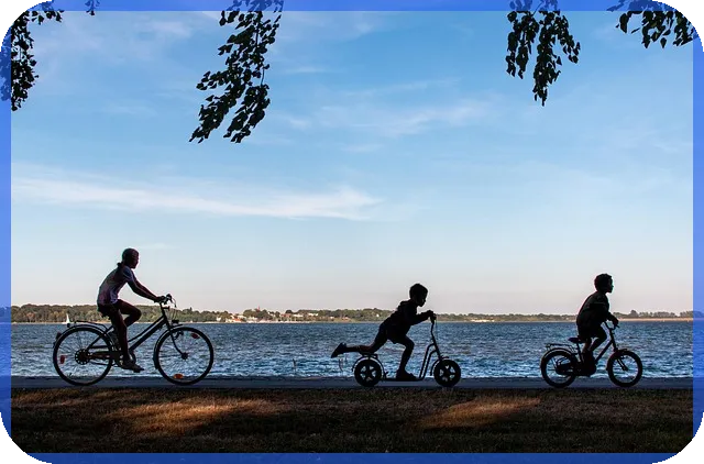 상한가따라잡기 위험성 분석과 주의점