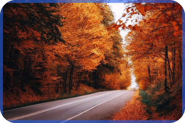 새마을금고예금 금리 비교와 지점별 차이는 무엇일까