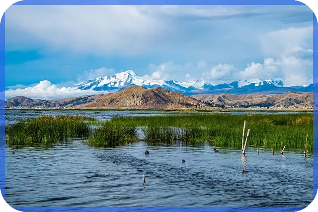 새마을금고예금 금리 비교와 지점별 차이는 무엇일까
