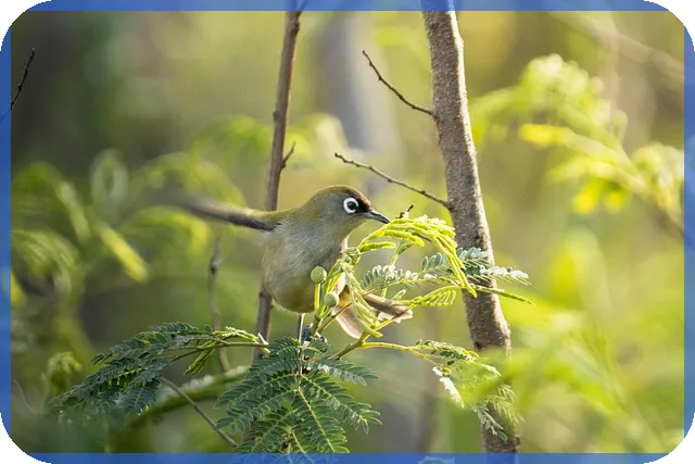 새마을금고예금 금리 비교와 지점별 차이는 무엇일까
