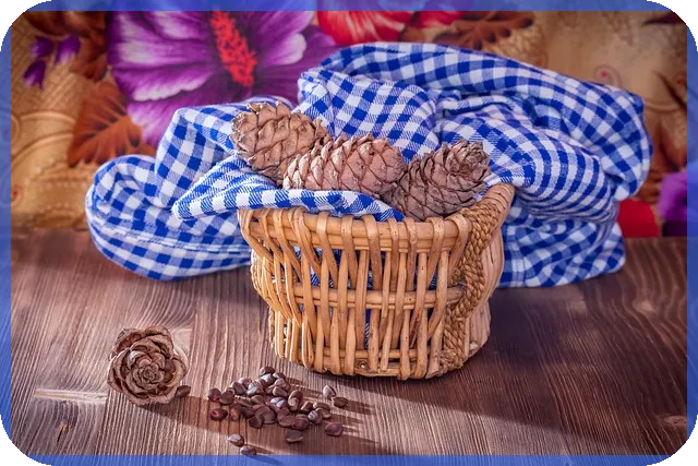 새마을금고이율 최신 정보 확인 방법은 무엇인가요