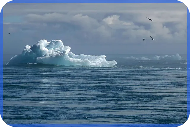 새마을금고이율 최신 정보 확인 방법은 무엇인가요