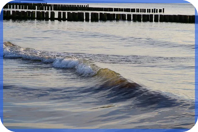 새마을금고이율 최신 정보 확인 방법은 무엇인가요