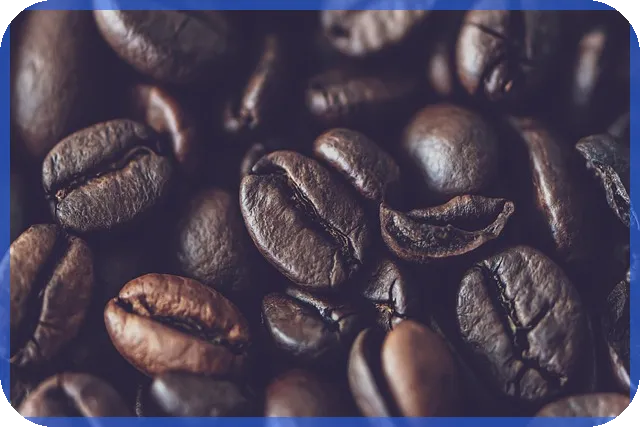 신차구매카드 혜택 놓치지 마세요 직영 캐시백 최대 1.8%