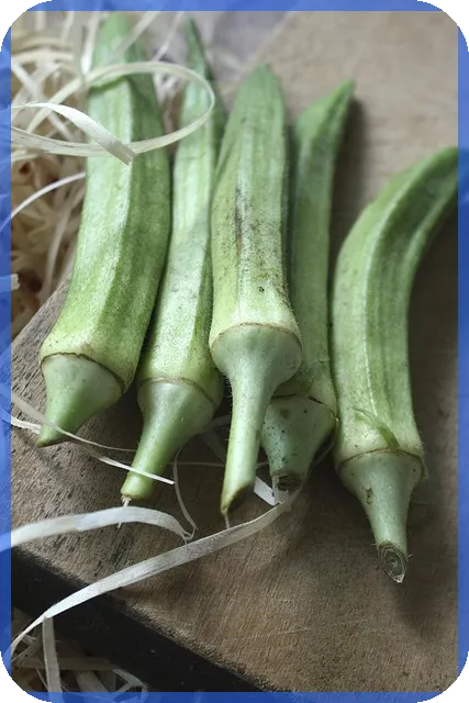 신차오토캐시백 활용법 최대 2.4% 적립