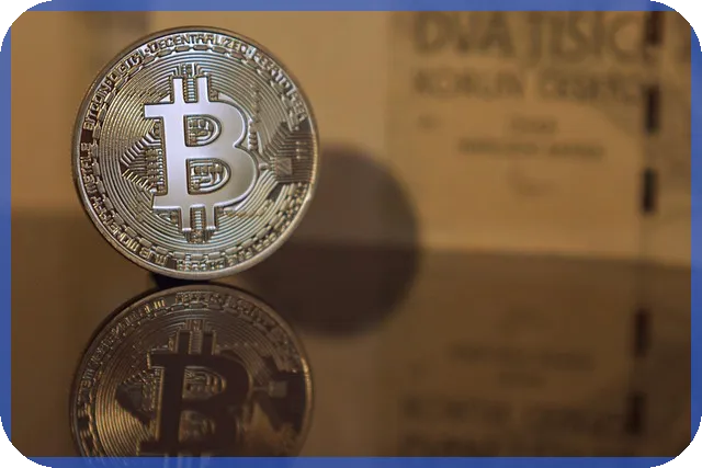 신차오토캐시백 활용법 최대 2.4% 적립