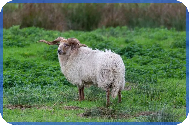 신차일시불캐시백 혜택과 구매 후기 궁금증 해결