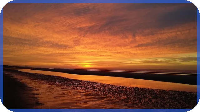 신차일시불캐시백 혜택과 구매 후기 궁금증 해결