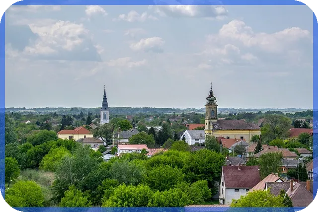신차일시불캐시백 혜택과 구매 후기 궁금증 해결