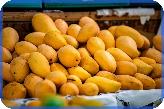 연말정산연금저축추천으로 세금 절약하는 방법