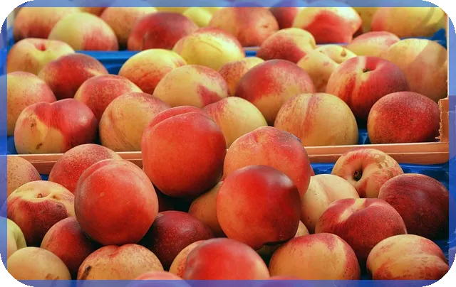 울산동호회 모임 장소 추천 최고의 블루문게임파티룸